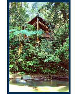The Canopy Treehouses - Phillip Island Accommodation 1