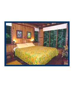 The Canopy Treehouses - Phillip Island Accommodation 3