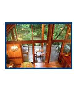 The Canopy Treehouses - Phillip Island Accommodation 4