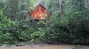 The Canopy Treehouses - Phillip Island Accommodation 5