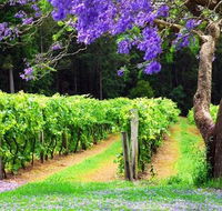 Bago Vineyards