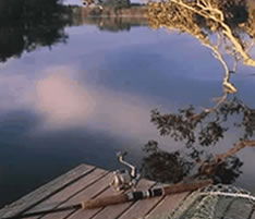 Jacaranda Country Lodge - Phillip Island Accommodation 4