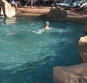 Undara Experience Lava Lodge - Phillip Island Accommodation