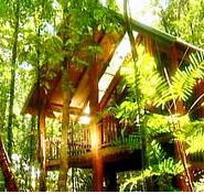 The Canopy Treehouses - Phillip Island Accommodation