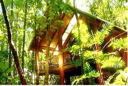 The Canopy Treehouses - Phillip Island Accommodation 0