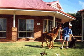  Phillip Island Accommodation