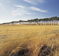 Port Wakefield Motel - Phillip Island Accommodation