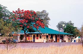 Wauchope Hotel And Roadhouse - Phillip Island Accommodation 0
