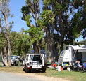 Elliston Caravan Park - Phillip Island Accommodation