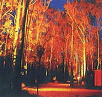 Dwellingup Chalet amp Caravan Park - Phillip Island Accommodation
