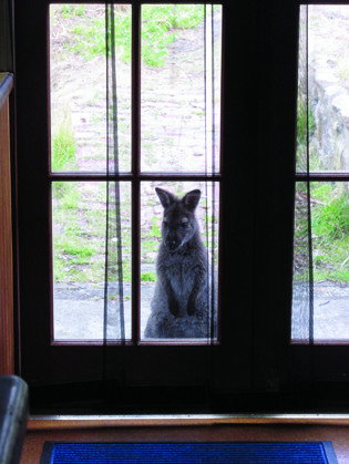 VARUNA - Phillip Island Accommodation 4