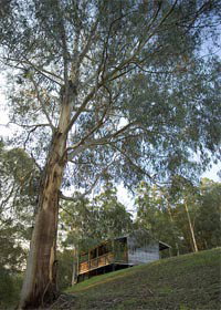 Ada VIC Phillip Island Accommodation