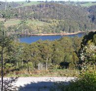 Charlyn Lodge - Phillip Island Accommodation