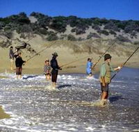 Flippers Beachouse - Phillip Island Accommodation