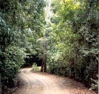 Mt Glorious Getaway Cottages And Conference Centre - Phillip Island Accommodation