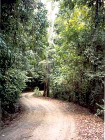 Mt Glorious Getaway Cottages And Conference Centre - Phillip Island Accommodation 0