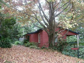 Turkeys Nest Rainforest Cottage - Phillip Island Accommodation 0