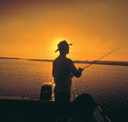 Point Stuart Wilderness Lodge - Phillip Island Accommodation