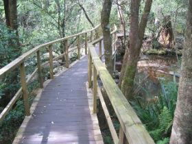 The Mouses House - Phillip Island Accommodation 0