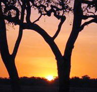 Coodardie Station Stay - Phillip Island Accommodation