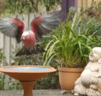 Wattle Court  Retreat - Phillip Island Accommodation