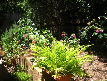 Bungunyah Apartments - Phillip Island Accommodation 1