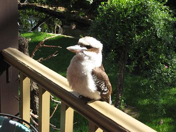 Bungunyah Apartments - Phillip Island Accommodation 3