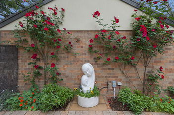 Bungunyah Apartments - Phillip Island Accommodation 8
