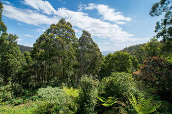 A Camelot Tower & Penthouse - Phillip Island Accommodation 46