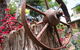 Bendles Cottages And Country Villas - thumb 27