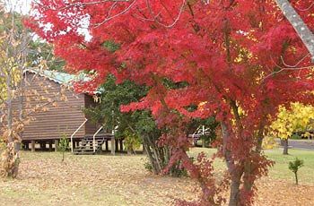 Madison's Mountain Retreat - Phillip Island Accommodation 1