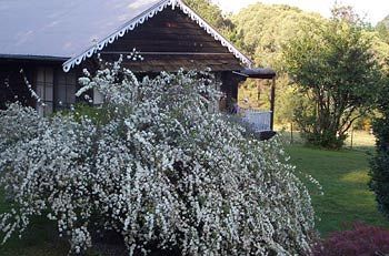 Madison's Mountain Retreat - Phillip Island Accommodation 3