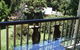 House Of Laurels - thumb 8
