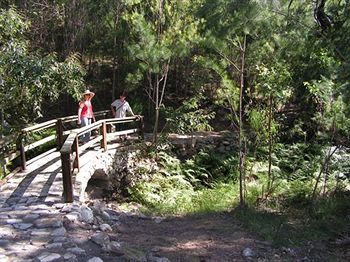 Glass House Mountains Ecolodge - Phillip Island Accommodation 9