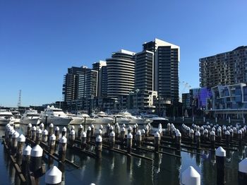 Apartments Melbourne Domain - Docklands - Phillip Island Accommodation 4