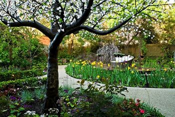 Elizabethan Lodge - Phillip Island Accommodation 1