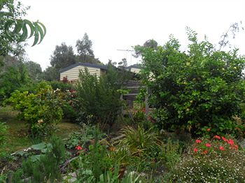 Australian Home Away @ Wonga Park Brushy Creek - Phillip Island Accommodation 14