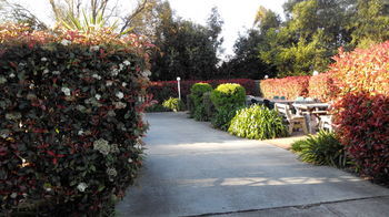 Branxton House Motel, Hunter Valley - Phillip Island Accommodation 13