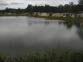 Australian Motor Homes Tourist Park - Phillip Island Accommodation 3