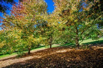 Avoca Valley Bed & Breakfast - Phillip Island Accommodation 14