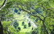 Maleny Tropical Retreat Balinese B&b - thumb 8
