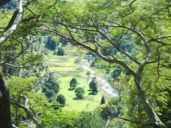 Maleny Tropical Retreat Balinese B&b - Phillip Island Accommodation 8