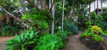 Maleny Tropical Retreat Balinese B&b - Phillip Island Accommodation 11