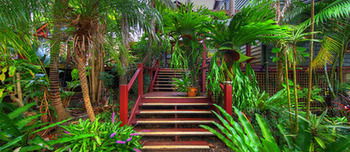 Maleny Tropical Retreat Balinese B&b - Phillip Island Accommodation 14