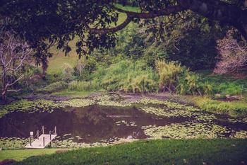 Allara Homestead - Phillip Island Accommodation 5