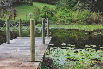 Allara Homestead - Phillip Island Accommodation 14