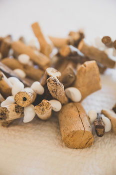 Allara Homestead - Phillip Island Accommodation 23