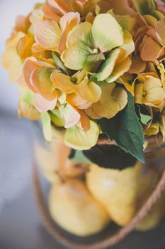 Allara Homestead - Phillip Island Accommodation 30