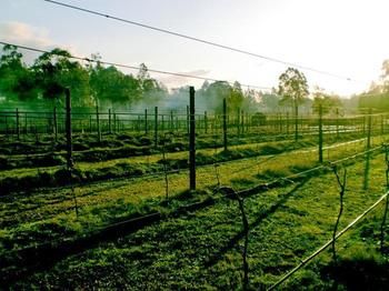 Hunter Country Lodge - Phillip Island Accommodation 3