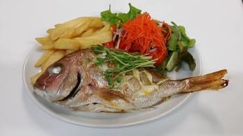 Best Western Endeavour Motel - Phillip Island Accommodation 3